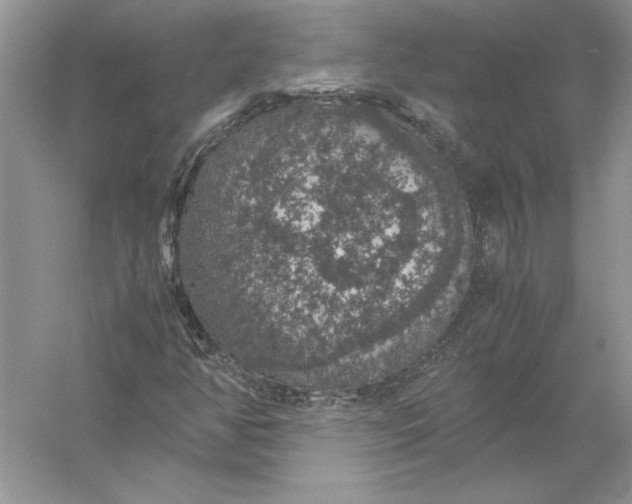 X0000056001350200509092035