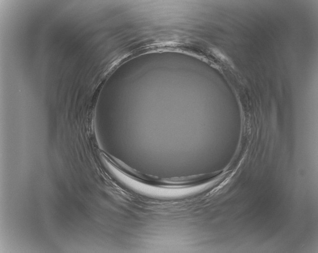 X0000056001353200509092035