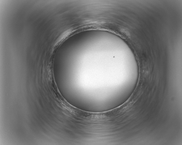 X0000056001354200509092035