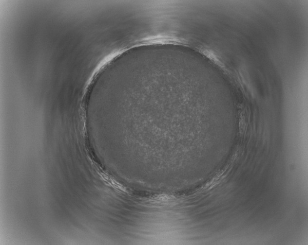 X0000056001358200509092035