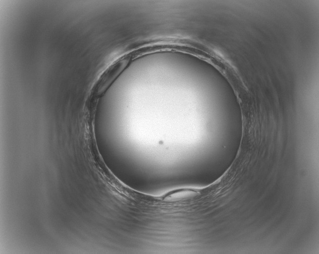 X0000056001360200509092035