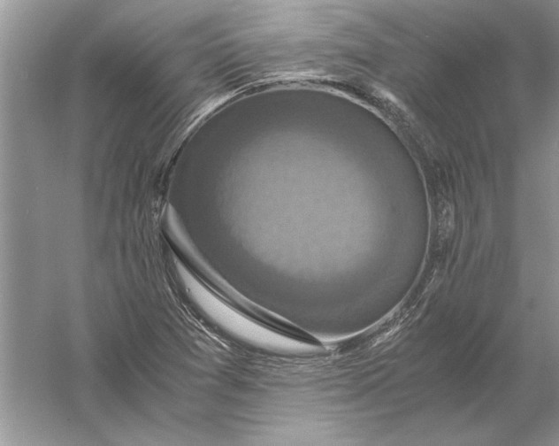 X0000056001361200509092035