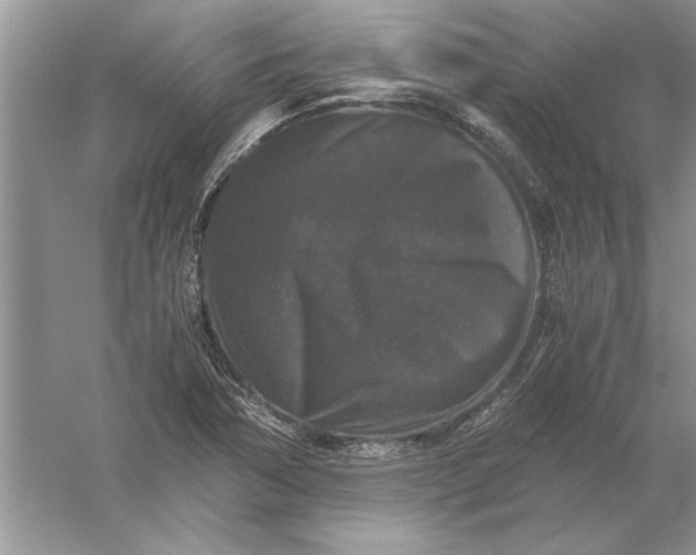 X0000056001362200509092035