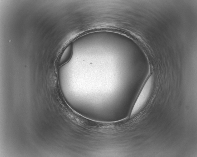 X0000056001363200509092035