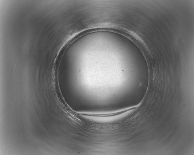 X0000056001364200509092035