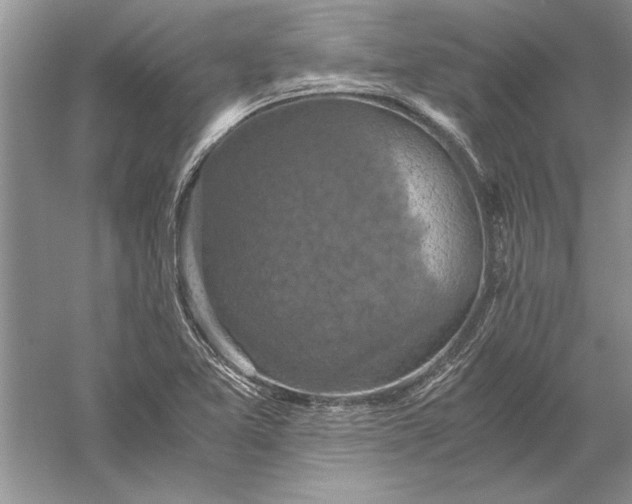 X0000056001365200509092035