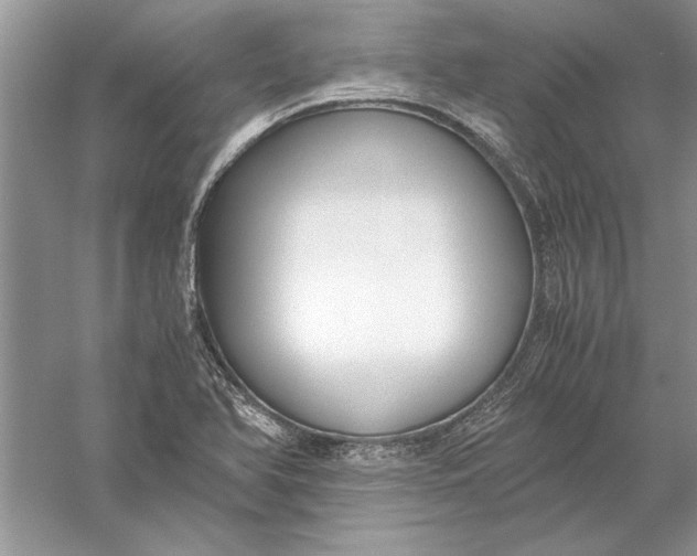 X0000056001366200509092035