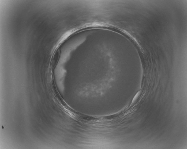 X0000056001367200509092035