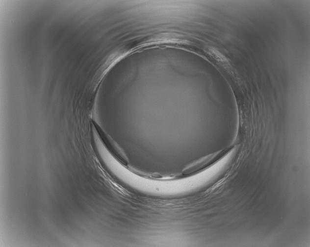 X0000056001369200509092035