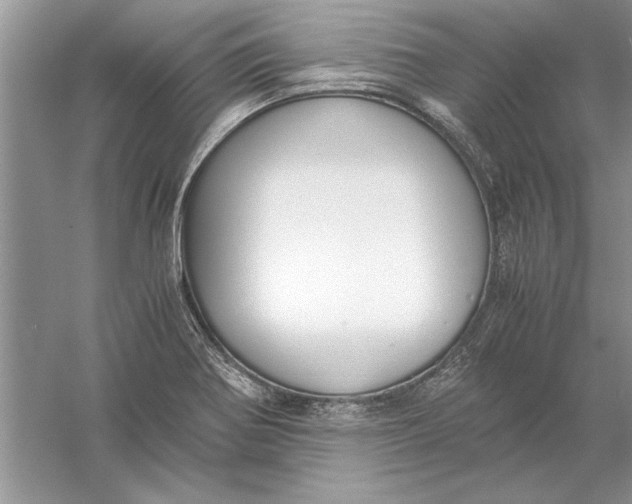 X0000056001370200509092035