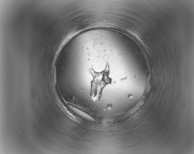 X0000056001371200509092034