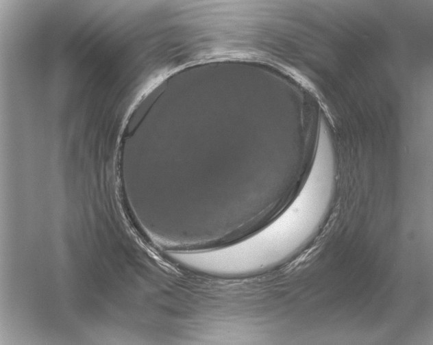 X0000056001373200509092034