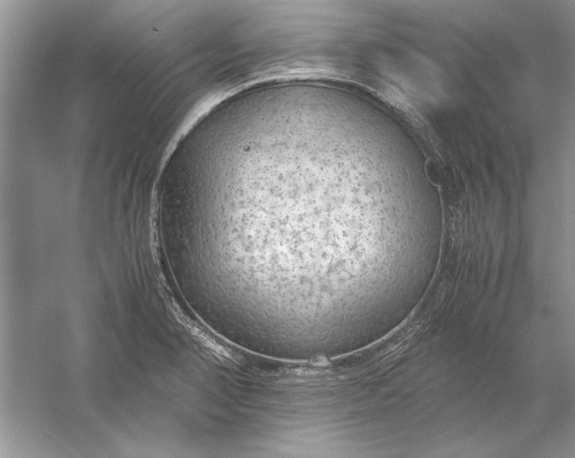 X0000056001374200509092034