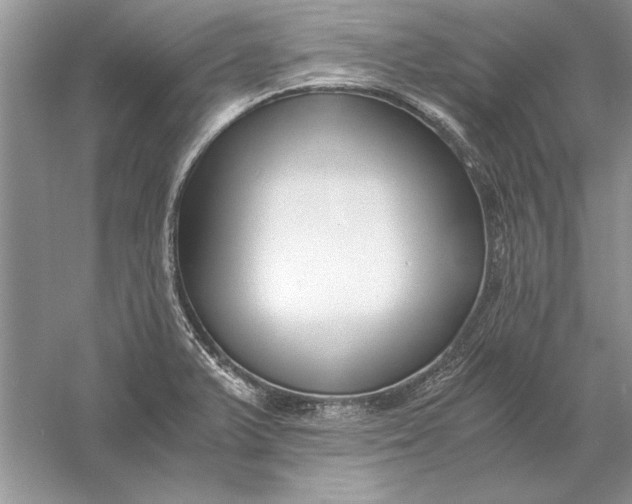 X0000056001375200509092034