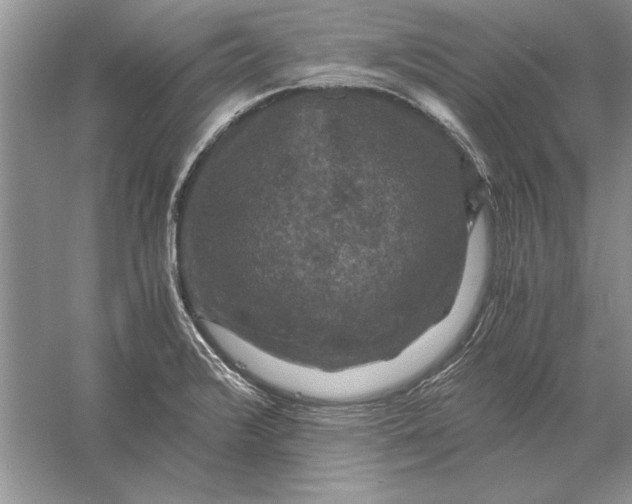 X0000056001376200509092034