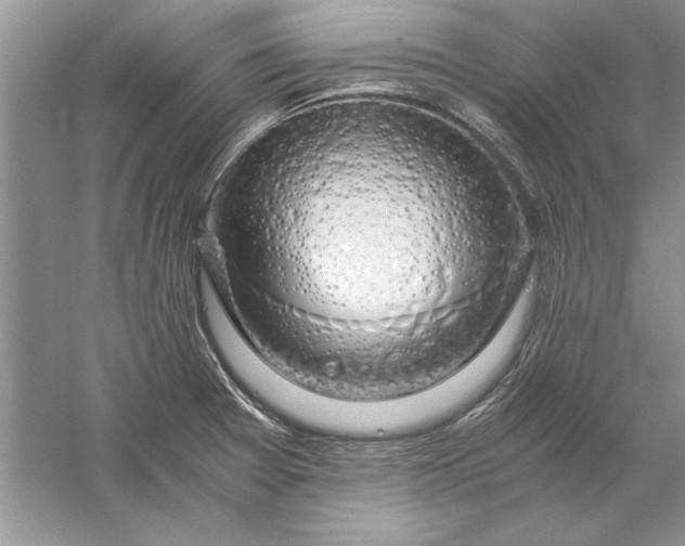 X0000056001377200509092034