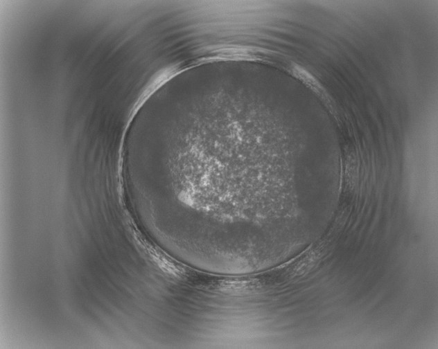 X0000056001378200509092034