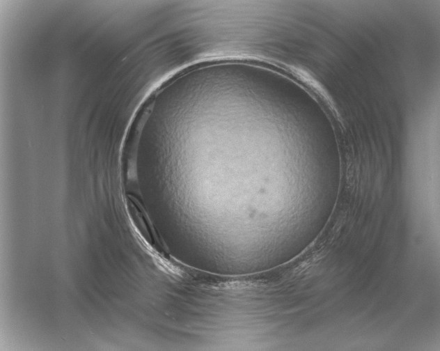 X0000056001380200509092034