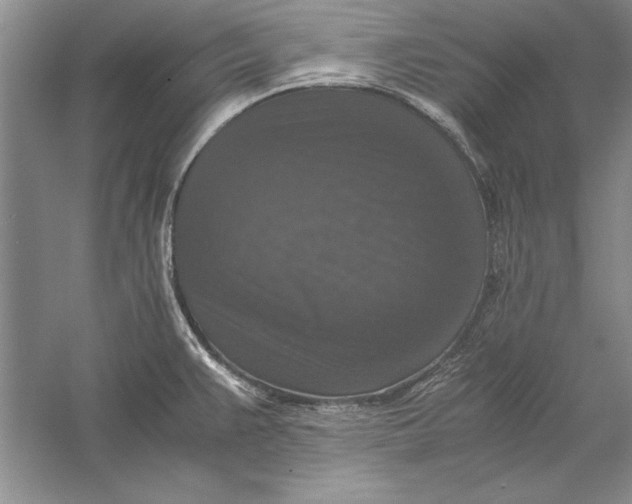 X0000056001383200509092034