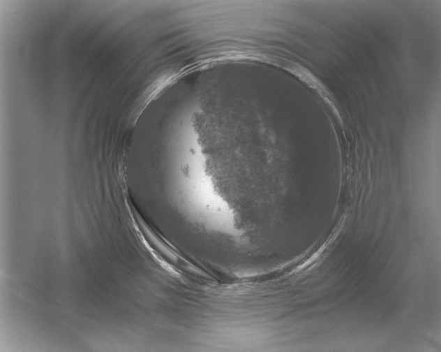 X0000056001385200509092034