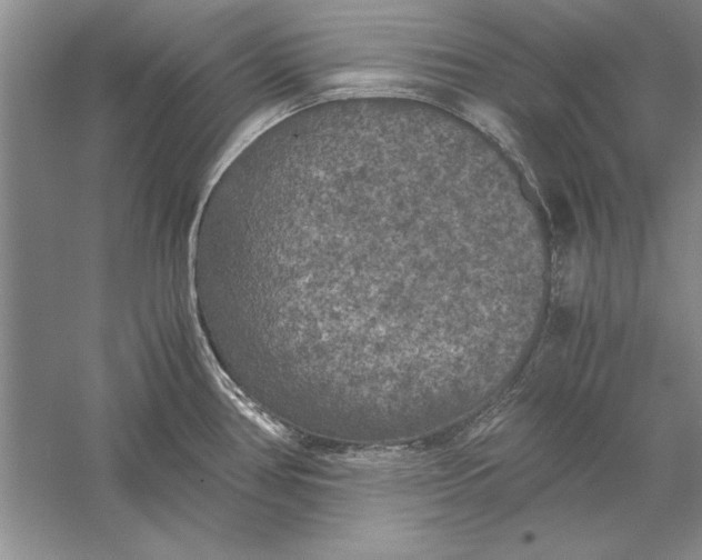 X0000056001386200509092034