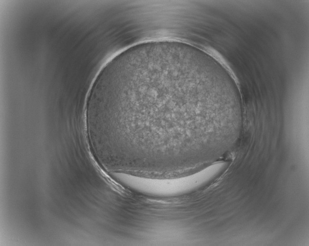 X0000056001388200509092034