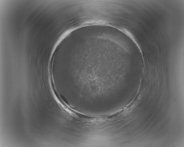 X0000056001389200509092034