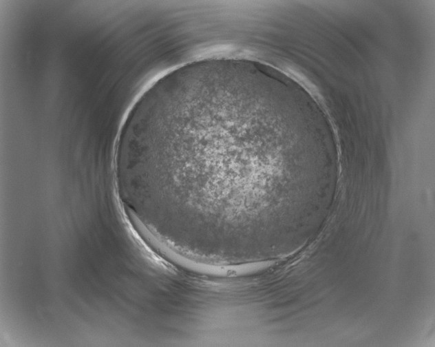 X0000056001392200509092034