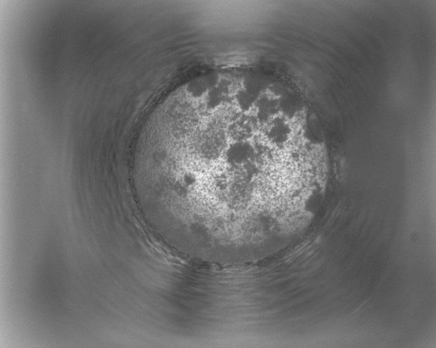 X0000056001393200509092033