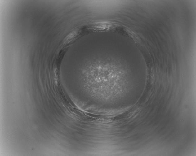 X0000056001394200509092033