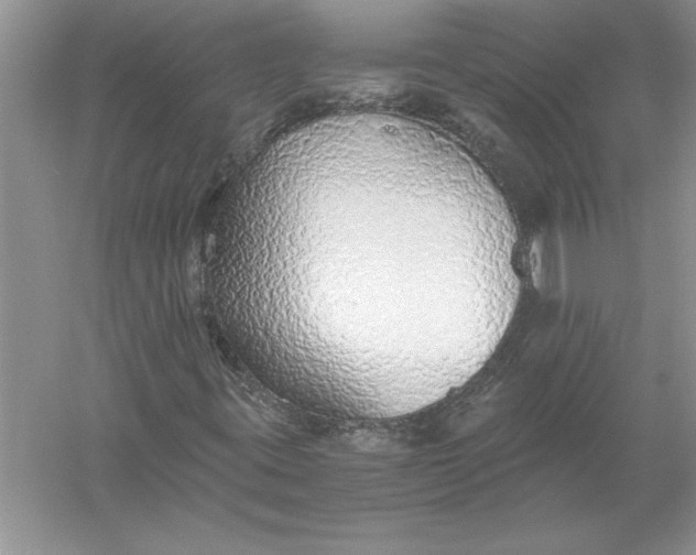 X0000056001395200509092033