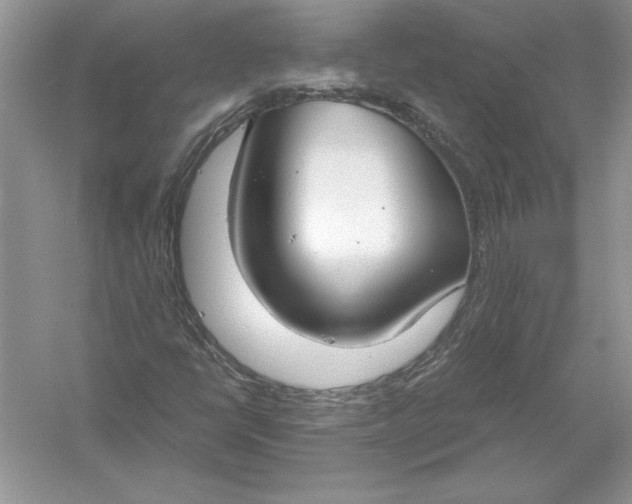 X0000056001398200509092033