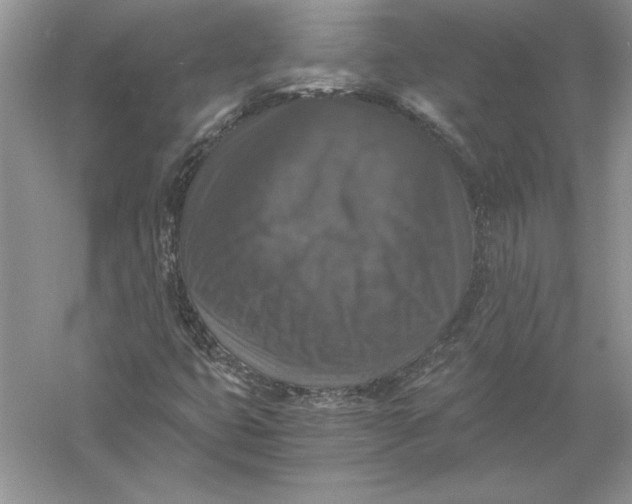 X0000056001399200509092033