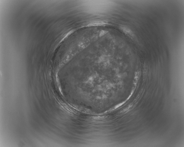 X0000056001401200509092033