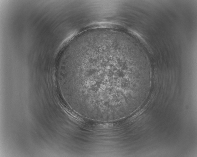 X0000056001403200509092033