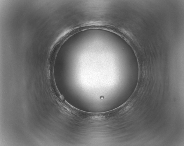 X0000056001406200509092034