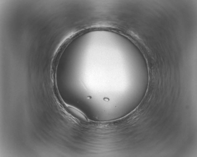 X0000056001408200509092034