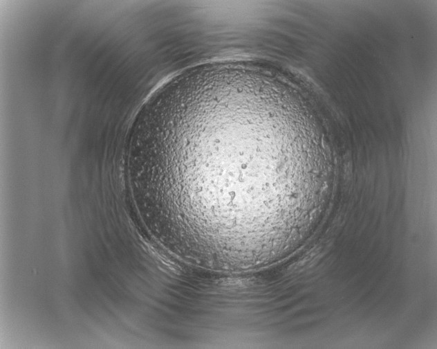 X0000056001409200509092034