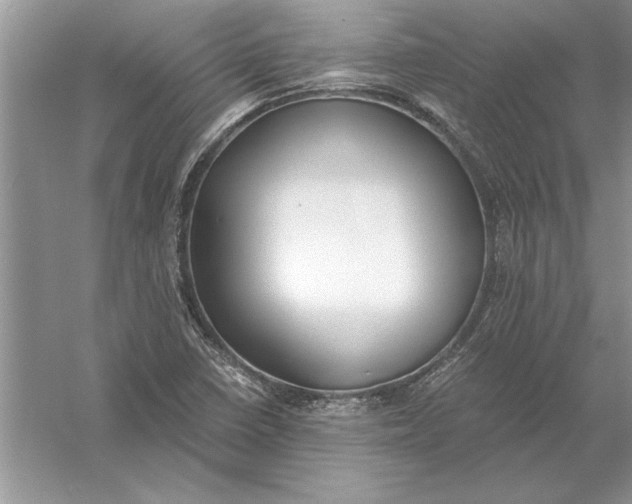 X0000056001410200509092034