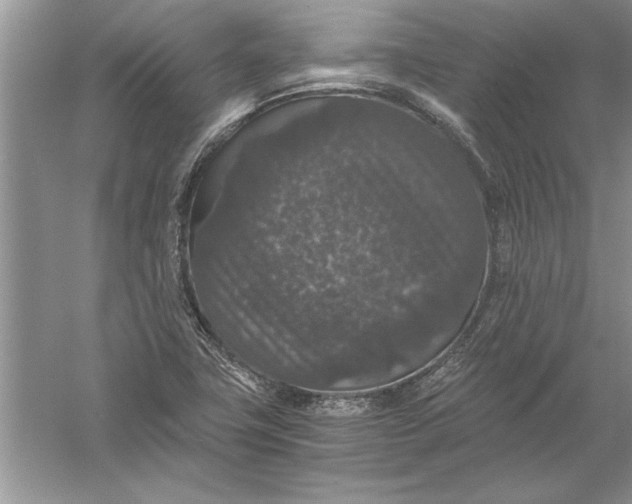 X0000056001411200509092034