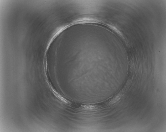 X0000056001413200509092034