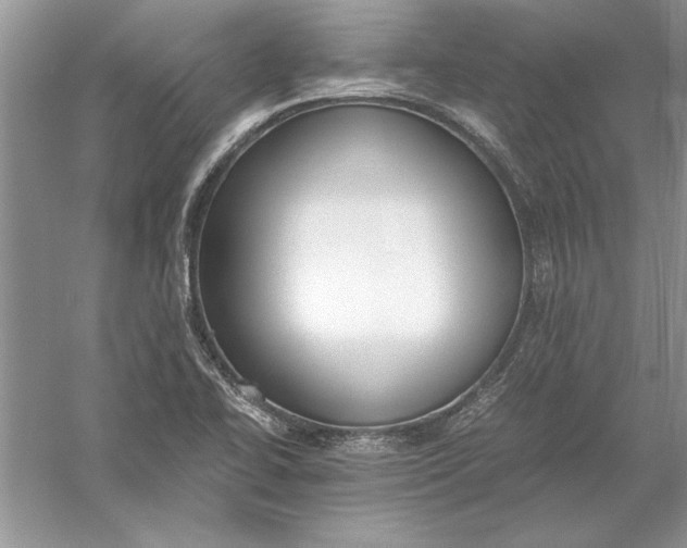 X0000056001414200509092034