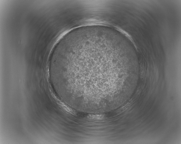 X0000056001415200509092034