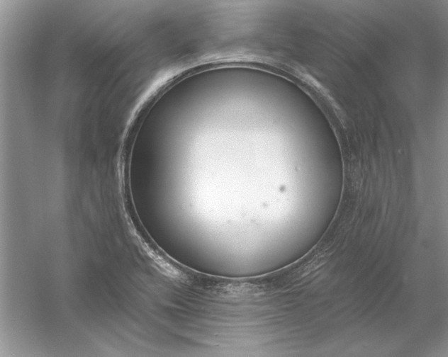 X0000056001416200509092034