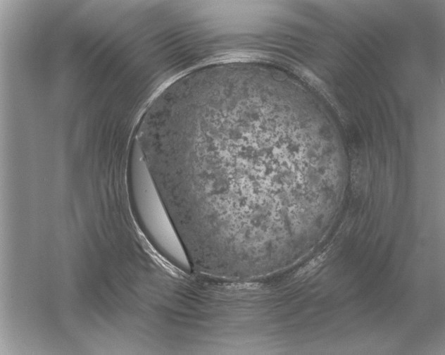 X0000056001417200509092034