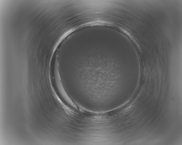 X0000056001418200509092034