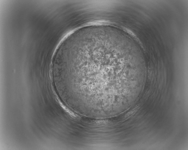 X0000056001421200509092034