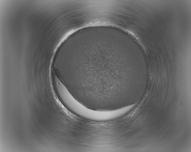 X0000056001422200509092034