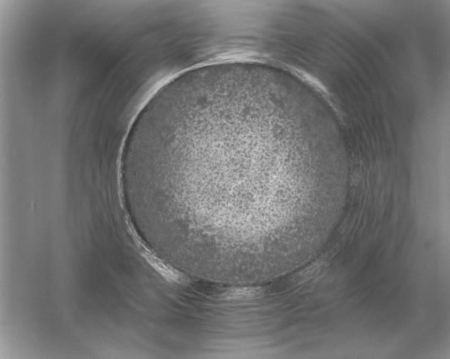 X0000056001423200509092034