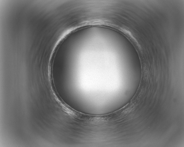 X0000056001424200509092034